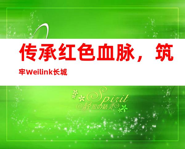 传承红色血脉，筑牢Weilink长城
